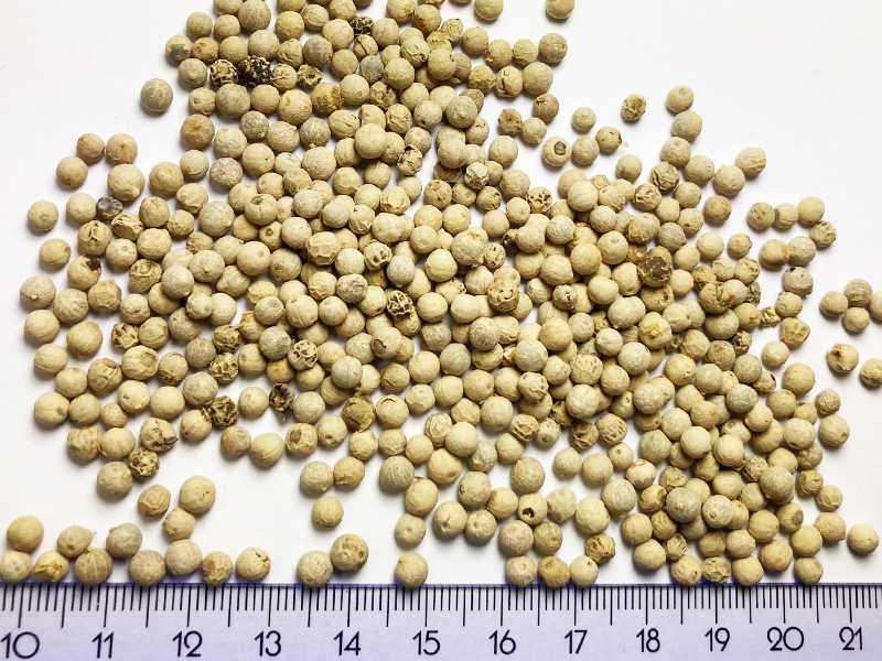 Pieprz biały całe ziarno czyszczone 5 kg mocny aromat 1 gatunek