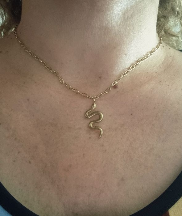 Colar dourado, em aço, com pingente em formato cobra. Tem extensor