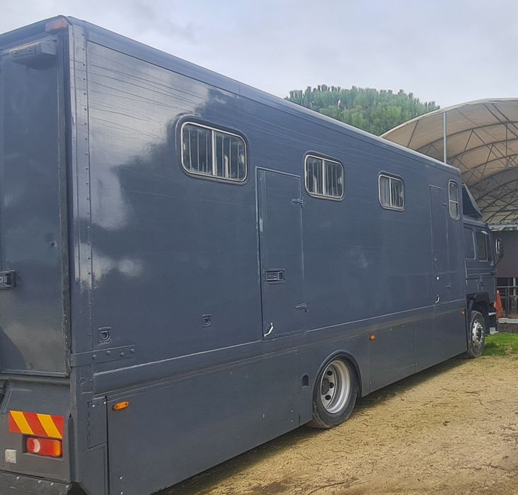 Camião Transporte de Cavalos