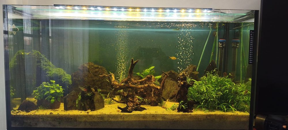 Aquário completo