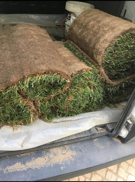 Serviços de Jardinagem / Transporte pequenas mercadorias