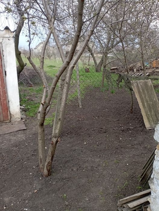Продается дом в Раздельной
