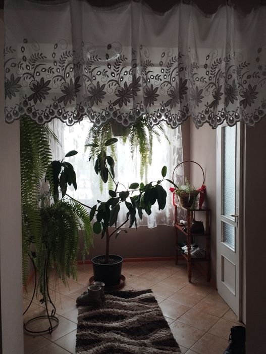 Продам дом Закарпатье Боржава