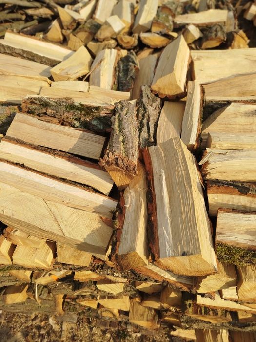 Drewno kominkowe dąb