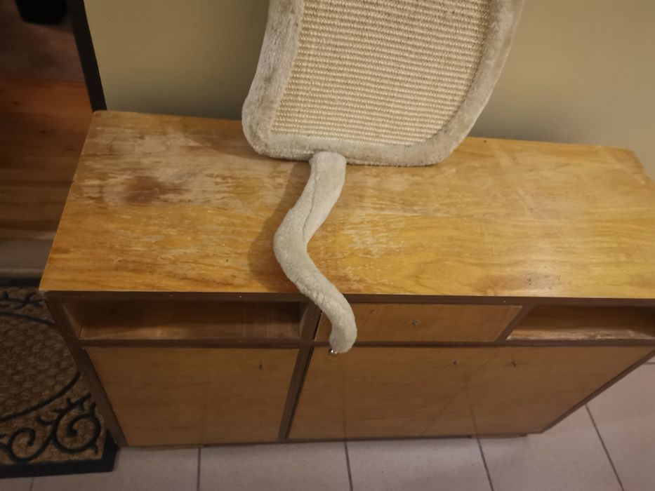 Drapak dla kota "kot"