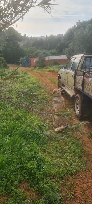 Hilux Motor a trepidar