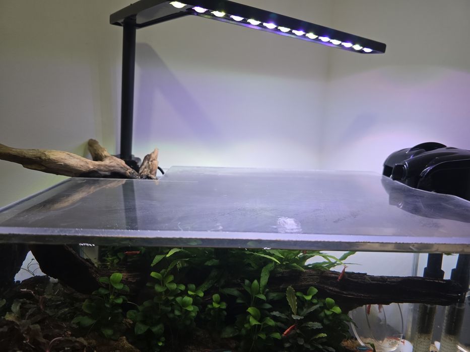 Aquario completo 36×22×18 cms