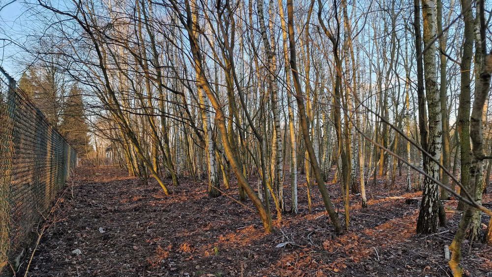 Działka budowlana Milanówek - Widok 4