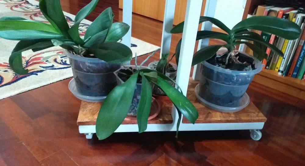 Suporte metálico para vasos de flores e plantas