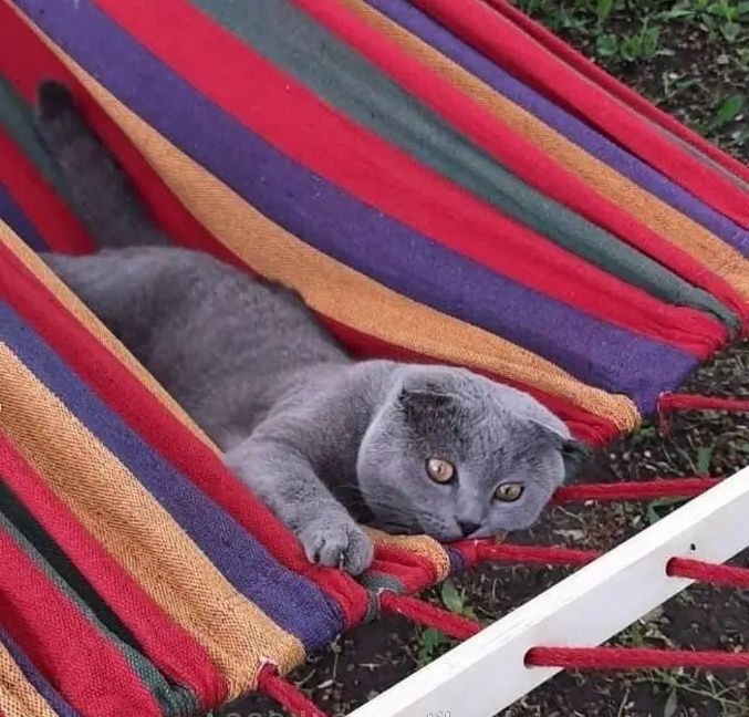 Гамак,  гамак с планкой/ гамак з планкою