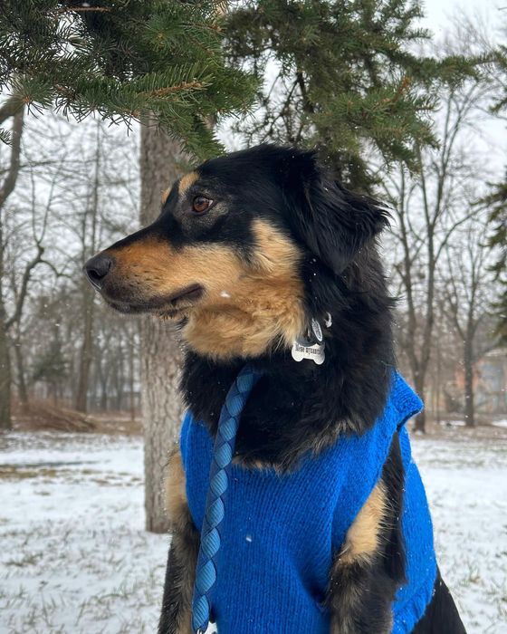 Дівчинка Нана шукає родину