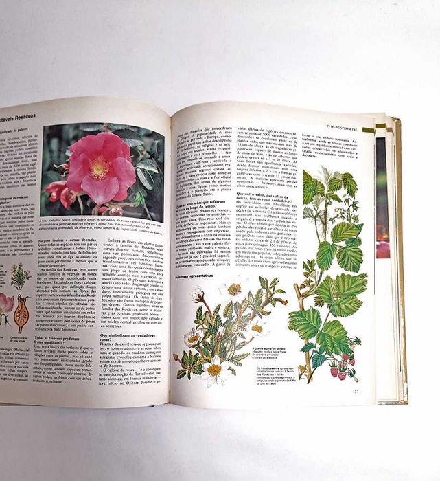 Livro ABC da Natureza