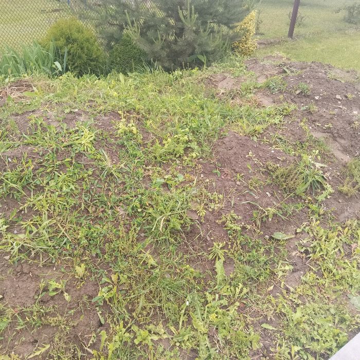 Землю...чорнозем  безкоштовно...ґрунт на виросту