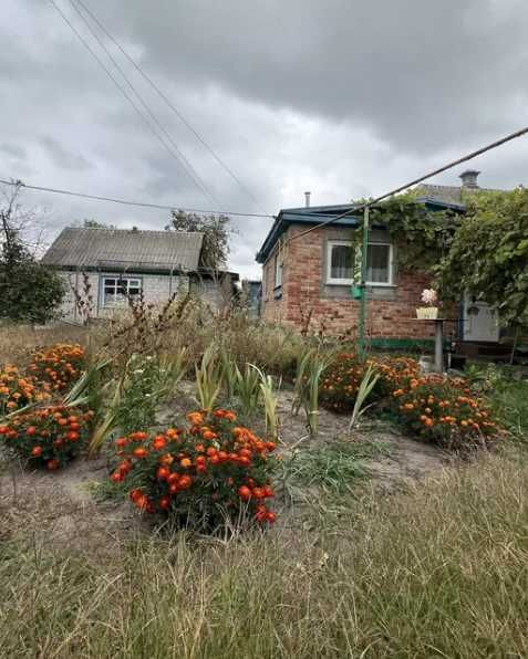 Пропонуємо до продажу Будинок с. Лозівок