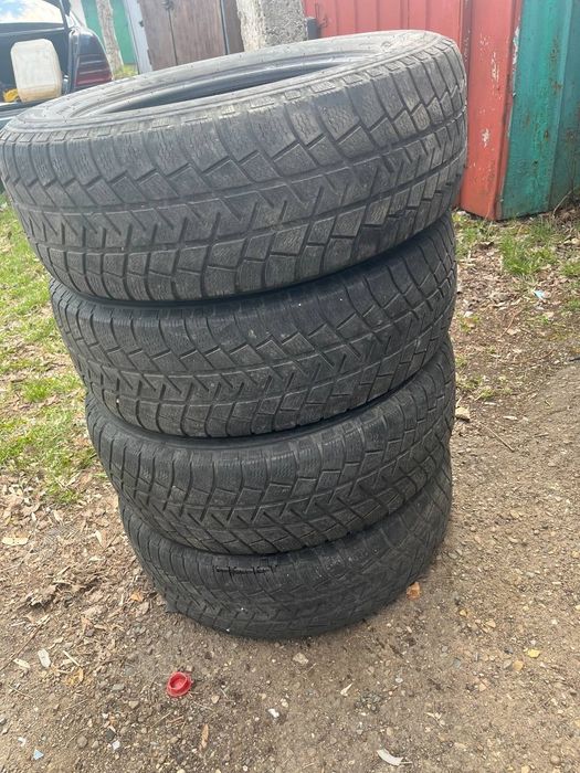 Ризина р17 225/ 65