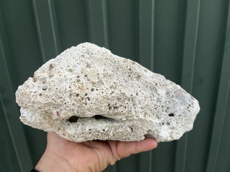 Pedra de coral para aquario ou terrario ou decoração