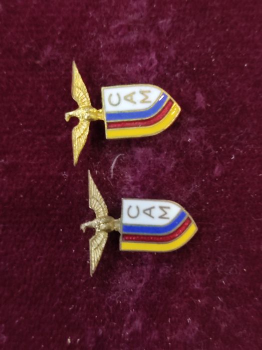 Pin / emblema Clube Atlético de Molelos Tondela