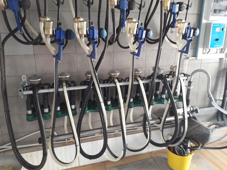 Hala udojowa,Dojarka De Laval , gwarancja