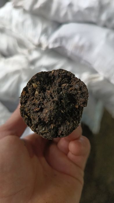 Брикеты длительного горения из  подсолнуха