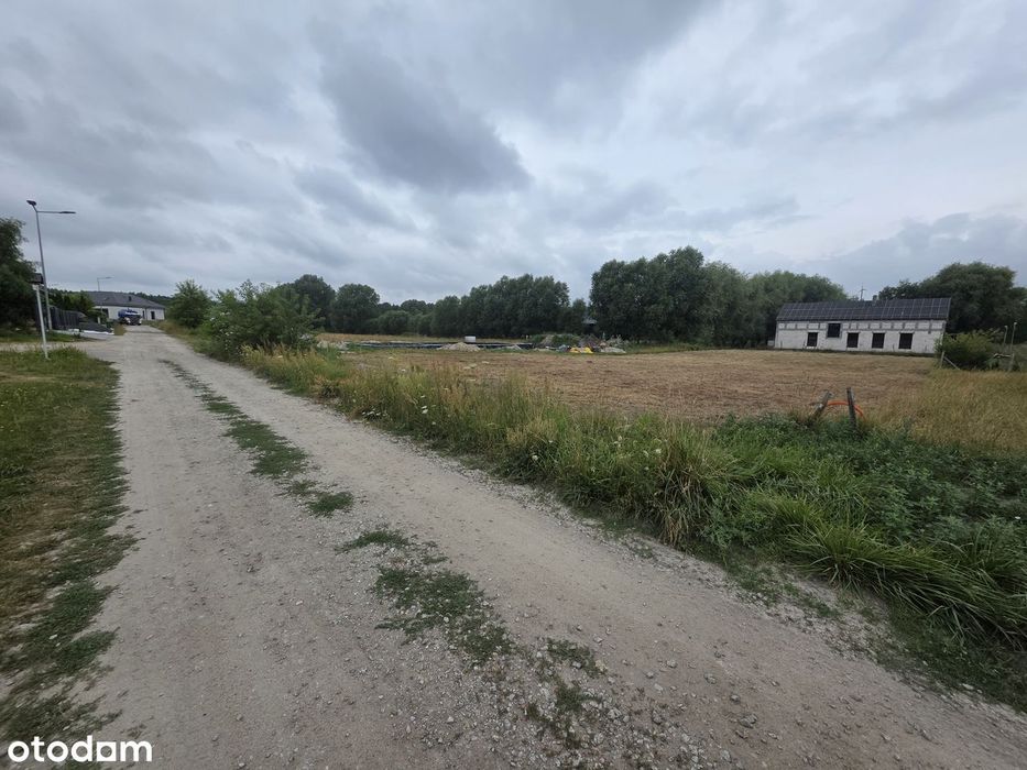 PIĘKNA OSTATNIA Działka Kórnik(Mościenica)las,jezioro,cisza,prywatnie - Widok 5