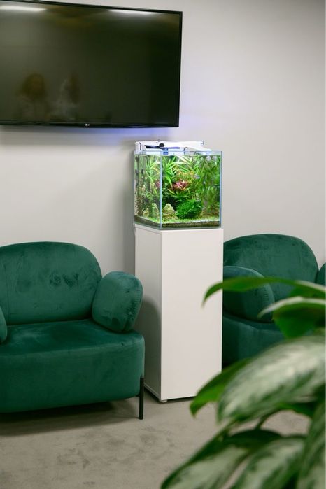 Морський акваріуми під ключ: дизайн, проектування, виробництво