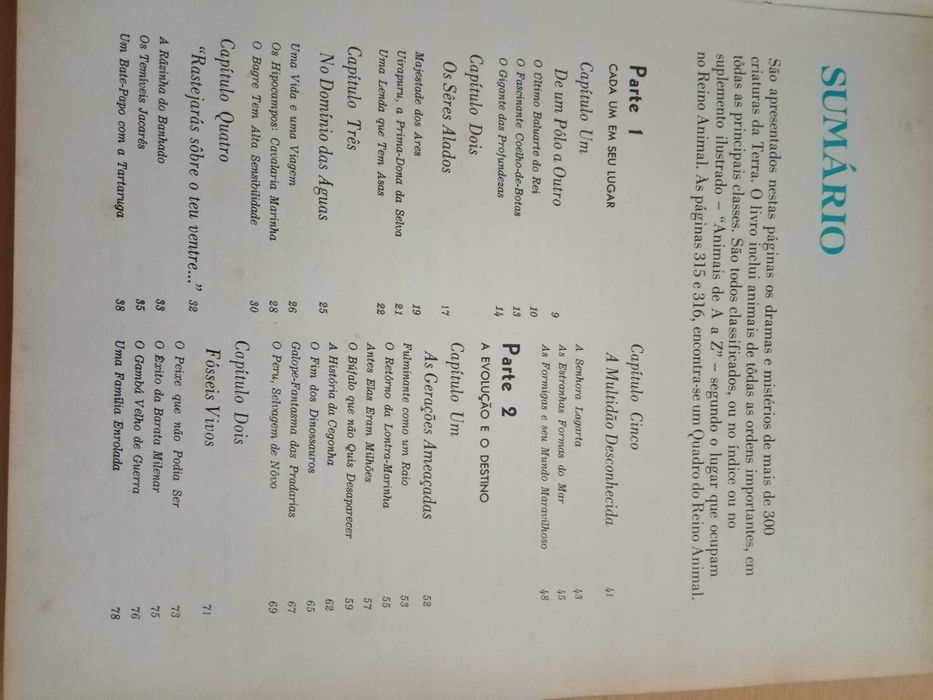 Maravlihas e Mistérios do Mundo Animal