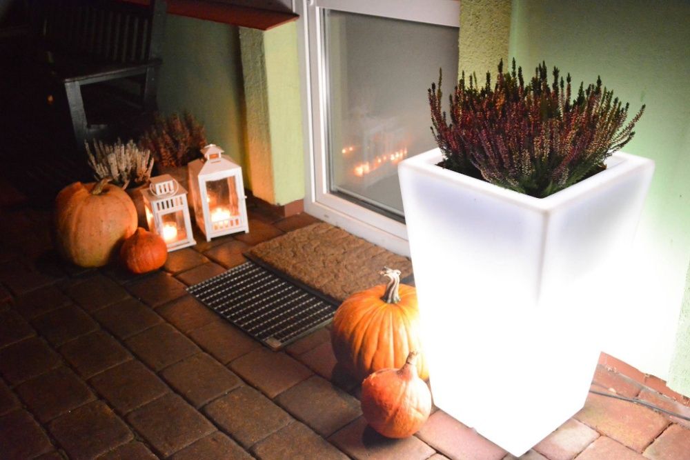 Vaso luminoso e floreiras