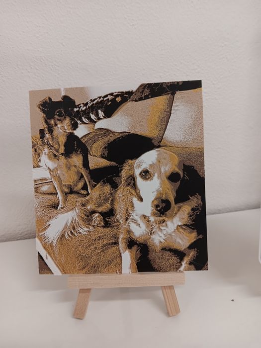 Impressões de fotografias em 3D