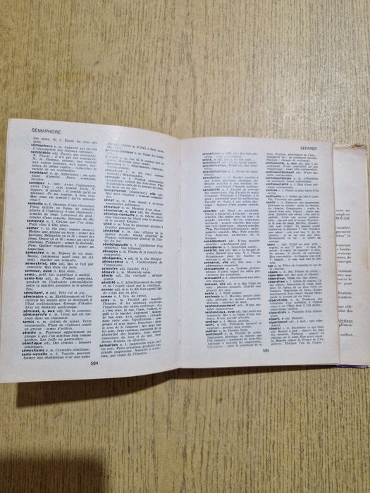 Książka Le petit Larousse słownik francusko-francuski