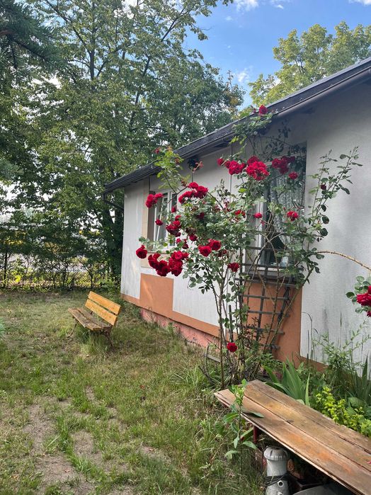 Sprzedam działkę
