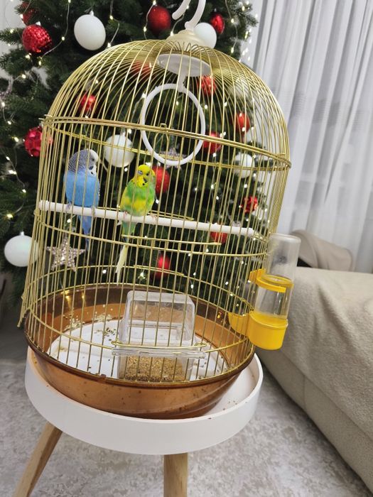 Продам  клітку  для папуг 2