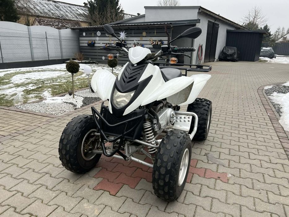 Dinli 300 Automat Homologacja