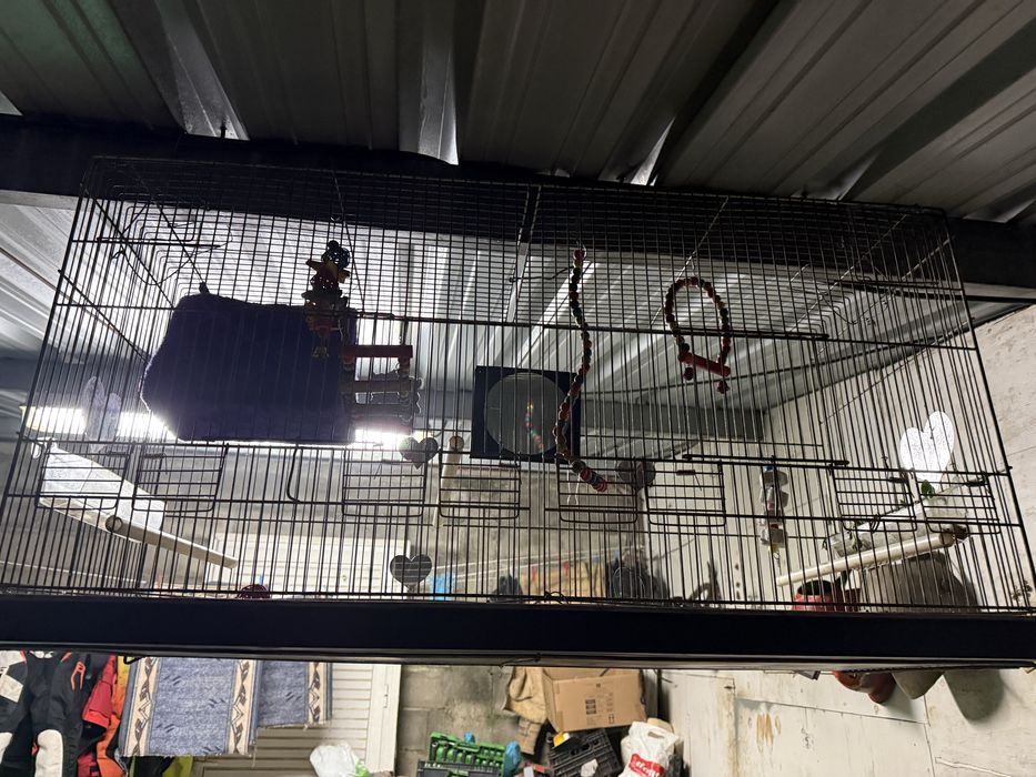 Vendo gaiola com os acessorios dentro