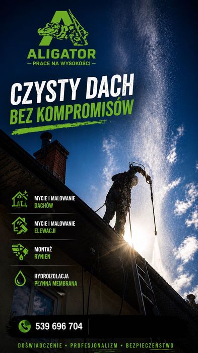 Dach jak nowy bez wymiany | mycie i malowanie