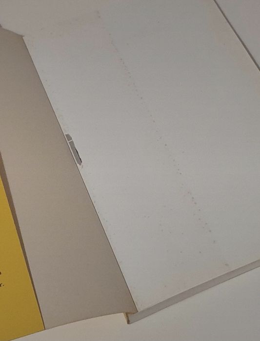 Livro Não há Coincidências de Margarida Rebelo Pinto