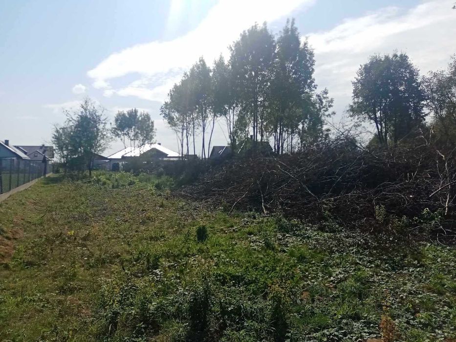 Po likwidacji sadu oddam na zrębkę dużą ilość gałęzi (200mx2,5mx3m)