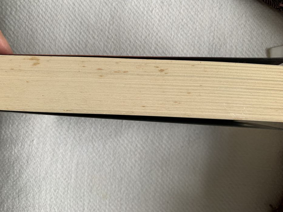 Livro  Fúria Divina