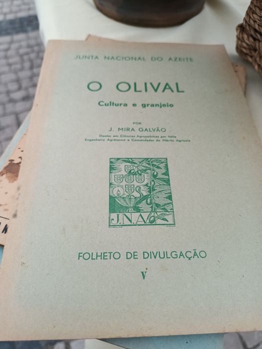 Interessante publicação relacionada com a produção de azeite