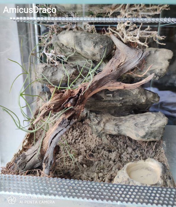 Terrarium dla ptasznika 30*30*30