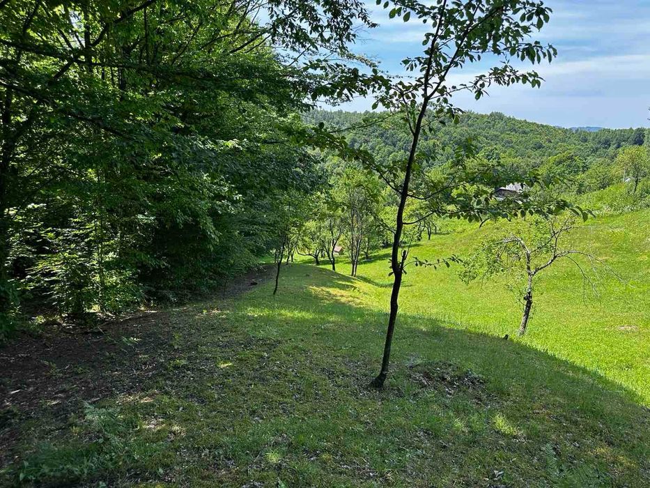 Продається старий будинок з великою земельною ділянкою