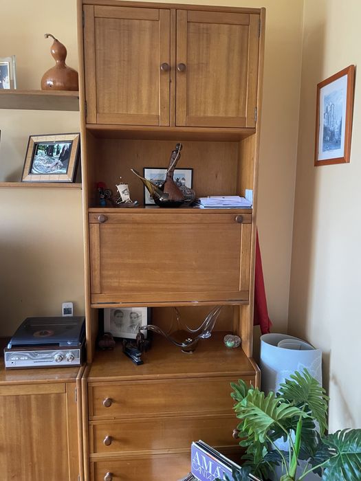 Móvel de sala de estar/jantar