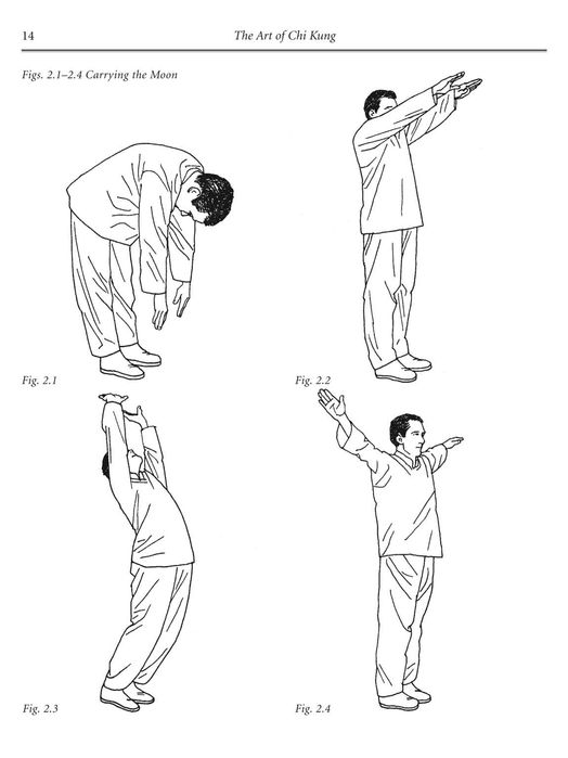 "The Art of CHI KUNG : Making the Most of Your Vital Energy" => Raro