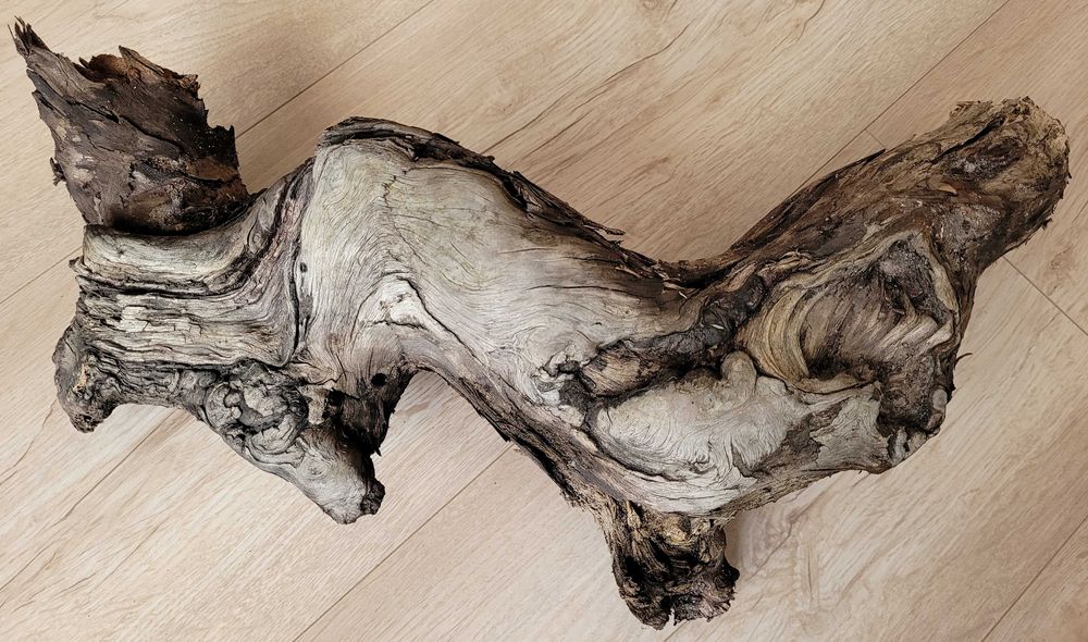 korzeń do terrarium