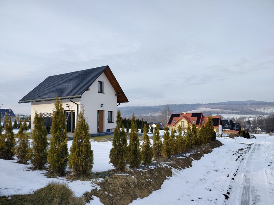 Domek pod Żukowem, kominek, Bieszczady, Widok na góry,Ustrzyki, Solina