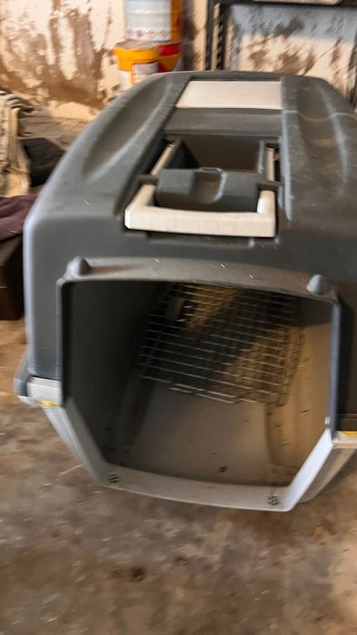 Caixa transporte cão