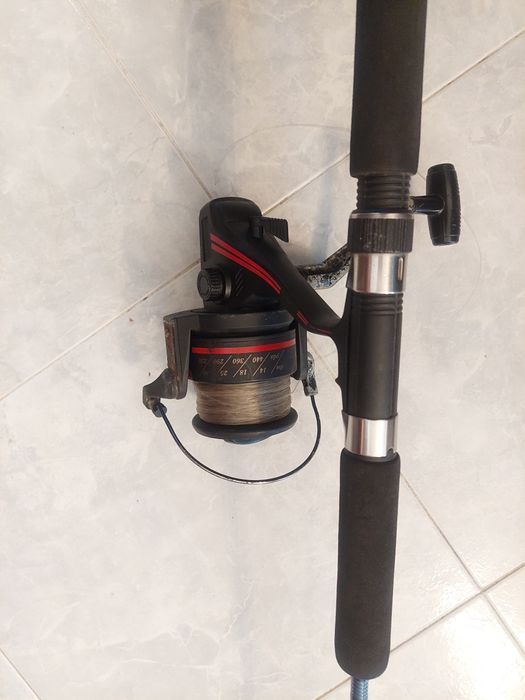 Cana de Pesca Blisfish
