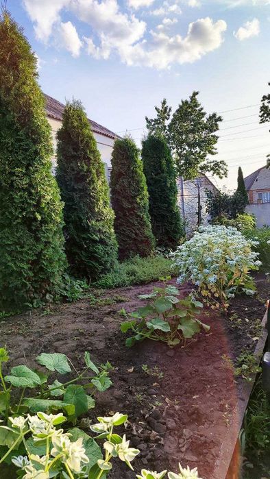 Продам цегляний будинок у центрі Дергачів з частковим ремонтом.