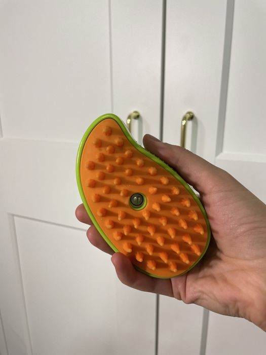 Szczotka parowa kocioszczotka:)