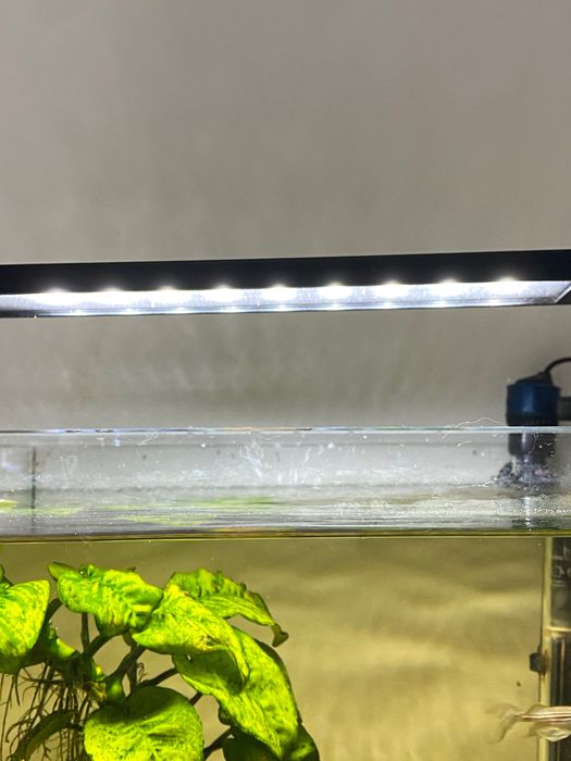 Aquário de 80 Litros