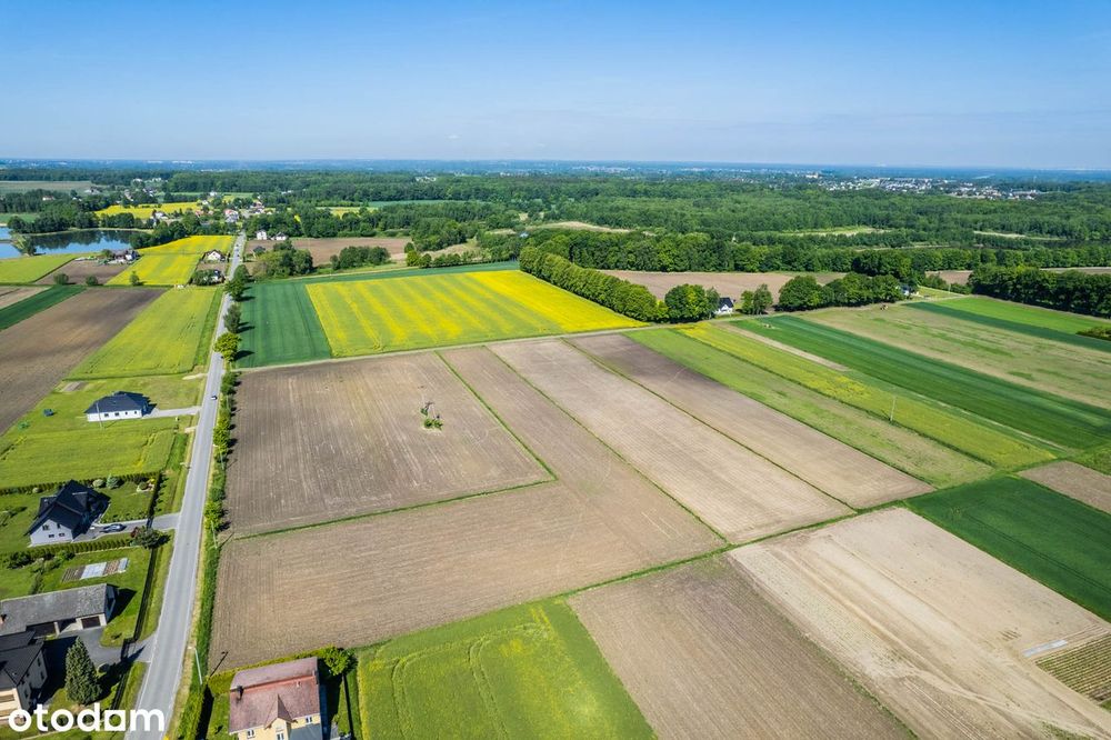 Sprzedam Działki Budowlane - Zasole Bielańskie